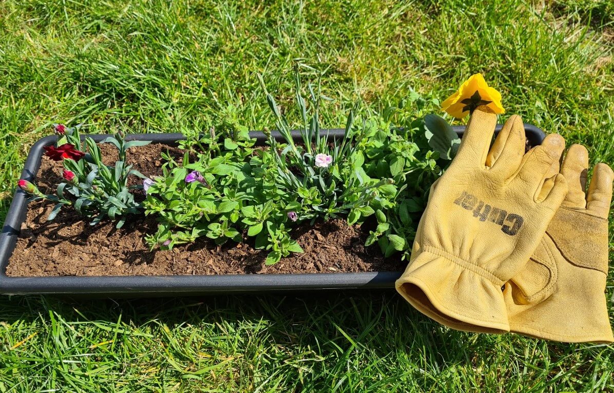 gardening guide