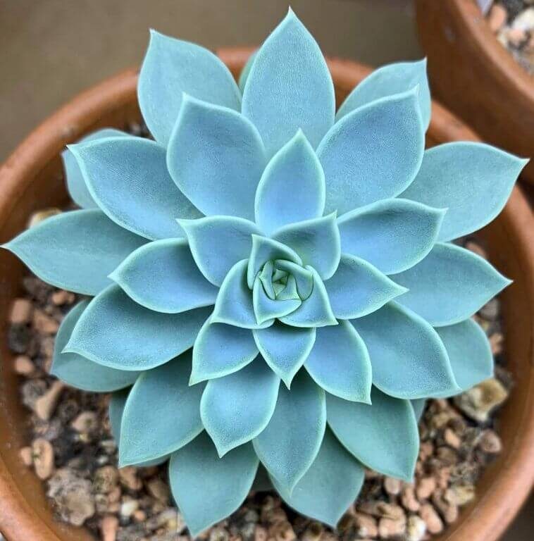 Home and Garden Inspiration